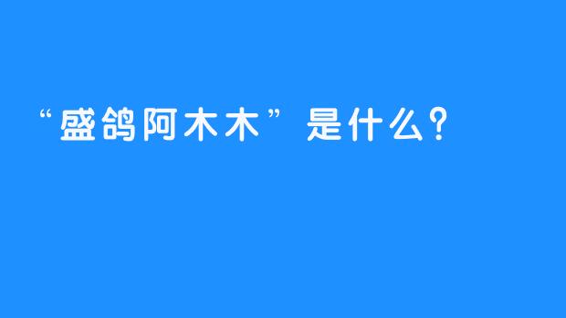 “盛鸽阿木木”是什么？