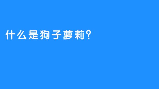 什么是狗子萝莉？