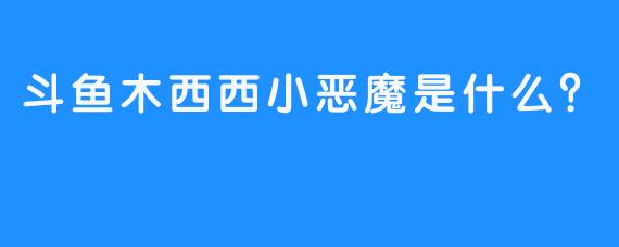 斗鱼木西西小恶魔是什么？