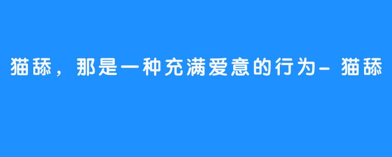 猫舔,那是一种充满爱意的行为-猫舔