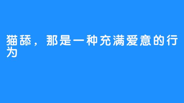 猫舔，那是一种充满爱意的行为