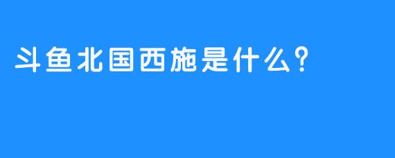 斗鱼北国西施是什么？