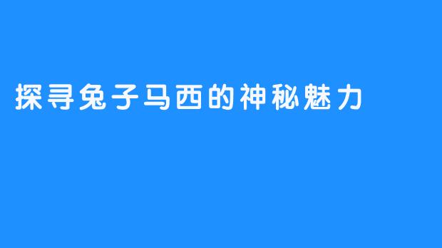 探寻兔子马西的神秘魅力