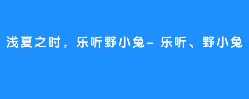 浅夏之时,乐听野小兔-乐听、野小兔
