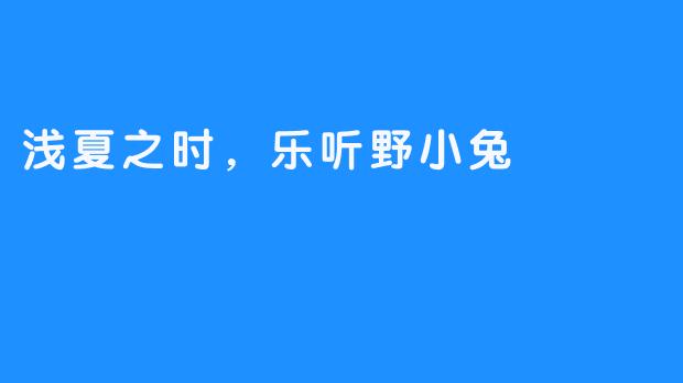 浅夏之时,乐听野小兔