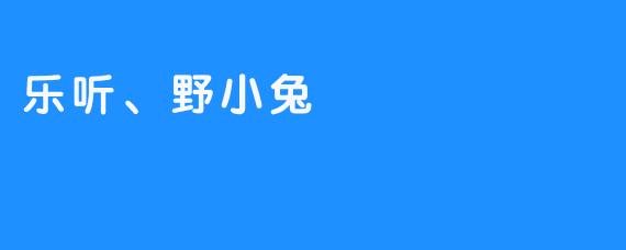 乐听、野小兔