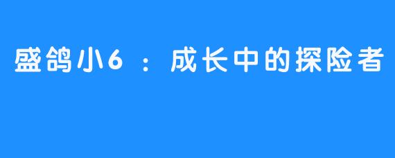 盛鸽小6:成长中的探险者