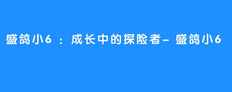盛鸽小6:成长中的探险者-盛鸽小6