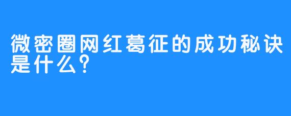 微密圈网红葛征的成功秘诀是什么？