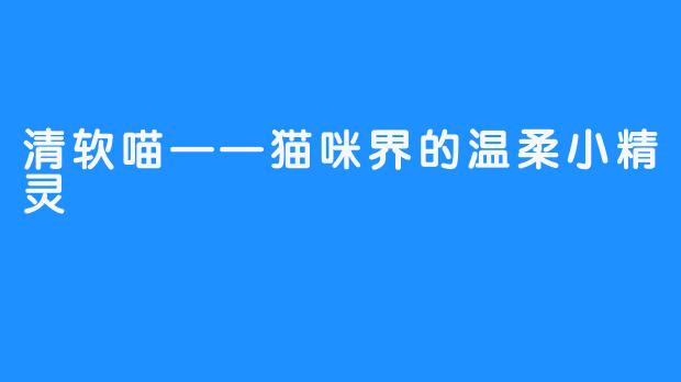 清软喵——猫咪界的温柔小精灵