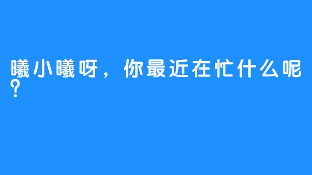 曦小曦呀，你最近在忙什么呢？  