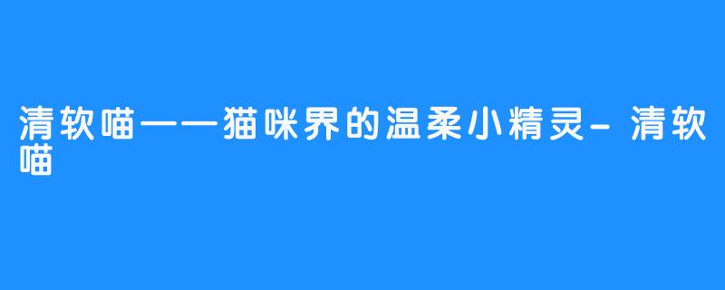 清软喵——猫咪界的温柔小精灵-清软喵