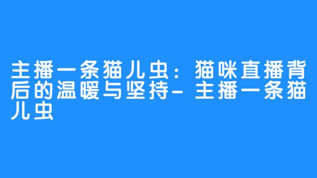 主播一条猫儿虫：猫咪直播背后的温暖与坚持-主播一条猫儿虫