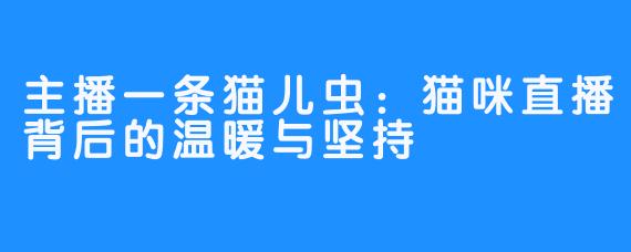 主播一条猫儿虫：猫咪直播背后的温暖与坚持