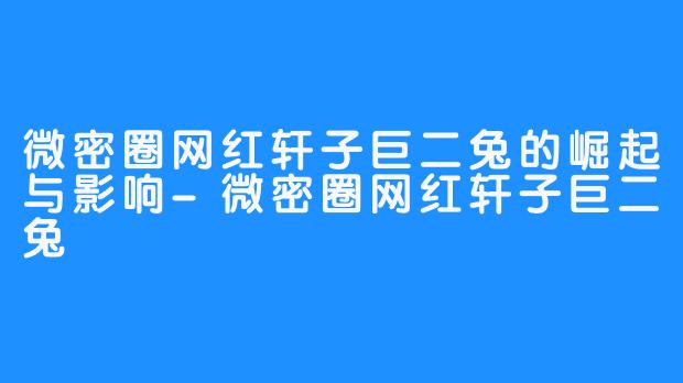 微密圈网红轩子巨二兔的崛起与影响-微密圈网红轩子巨二兔