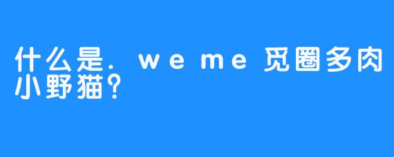 什么是.weme觅圈多肉小野猫?