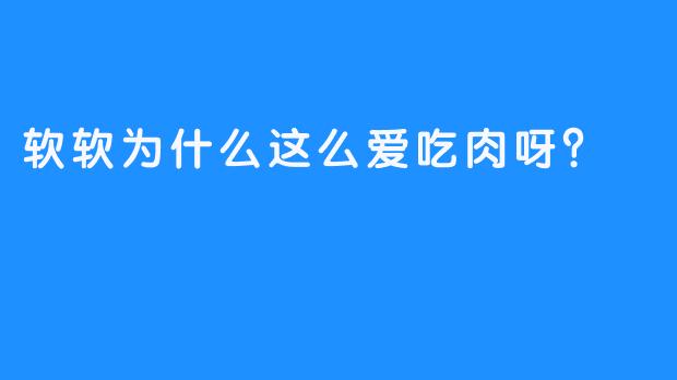 软软为什么这么爱吃肉呀？🍖