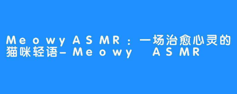 MeowyASMR：一场治愈心灵的猫咪轻语-Meowy ASMR