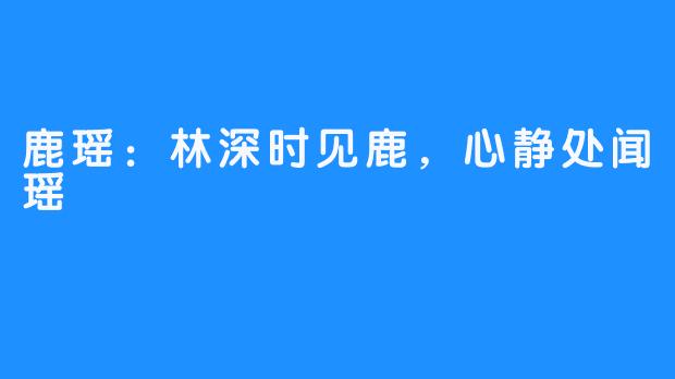 鹿瑶:林深时见鹿,心静处闻瑶