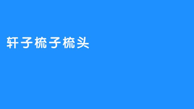 轩子梳子梳头