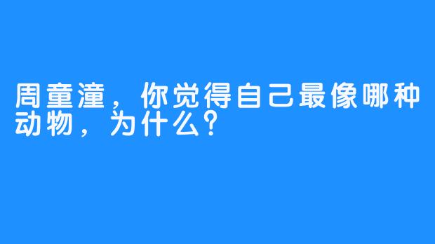 周童潼，你觉得自己最像哪种动物，为什么？